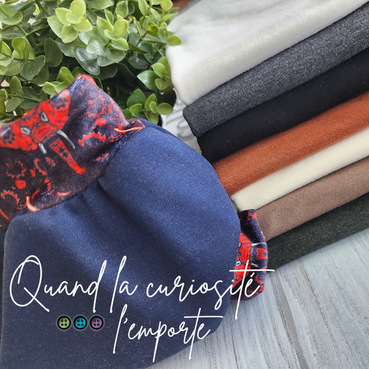 LOTS ÉCONOMIQUES | QUAND LA CURIOSITÉ L'EMPORTE | COUCHES PLATES